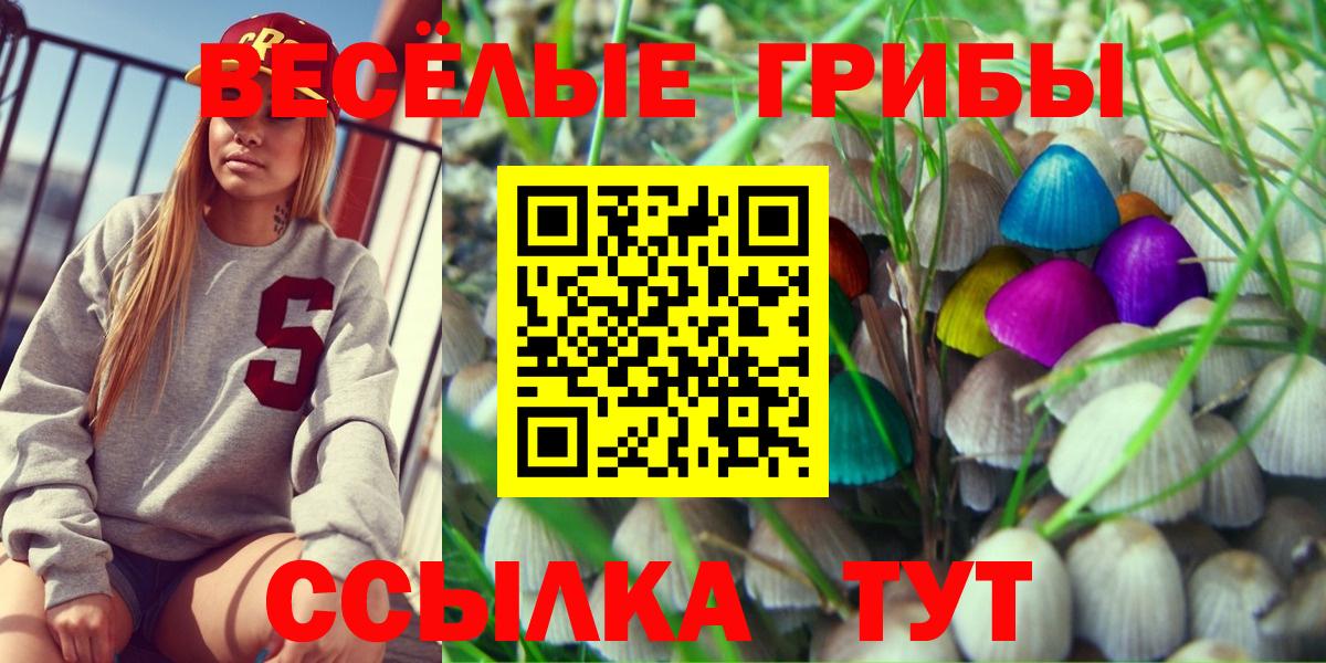 Псилоцибиновые грибы Psilocybine cubensis  Псилоцибиновые грибы Cubensis  Вход с VPN  Томск 